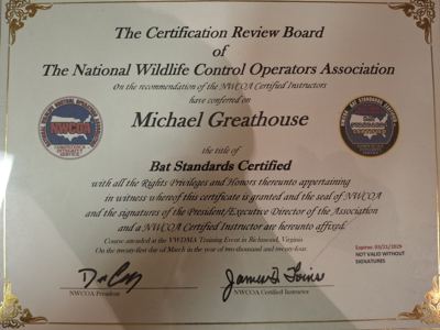 NWCOA Bat Standards Certification issued to Wild Bunch, dated March 2024