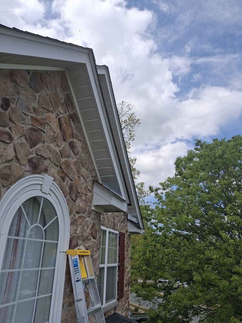 Sunlit roofline and soffit of a stone-front home with a ladder set against the eave