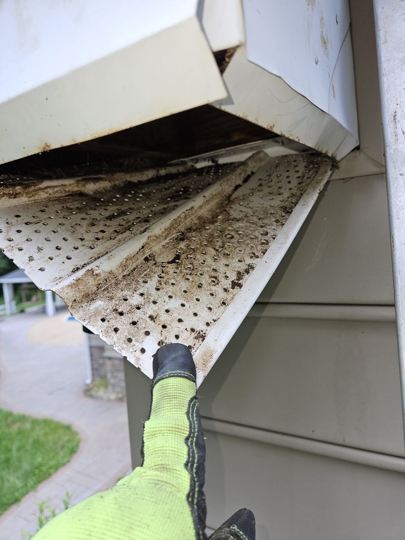 Nesting material packed into the gap beneath a roof fascia board