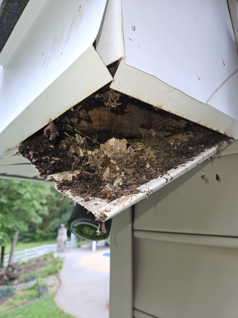 Leaves, insulation and debris pulled from a gutter and soffit corner